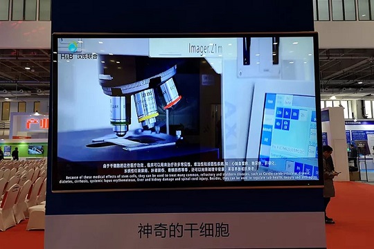 漢氏聯合干細胞