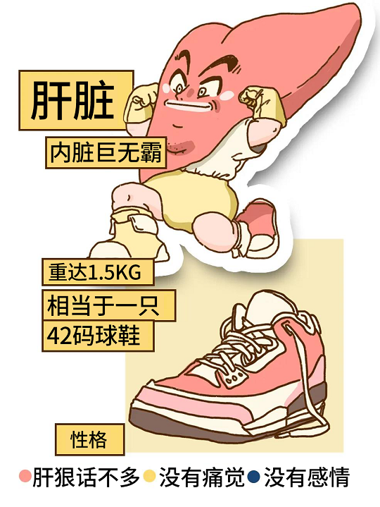 漢氏聯合干細胞治療肝衰竭